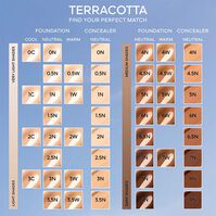 Terracotta Concealer   2